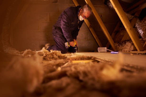 Best Insulation Maintenance and Repair in Prince George, VA