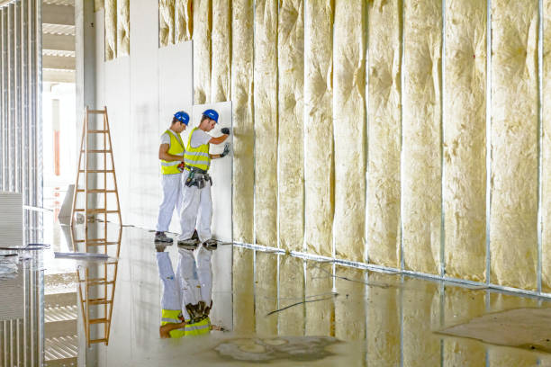 Best Commercial Insulation in Prince George, VA